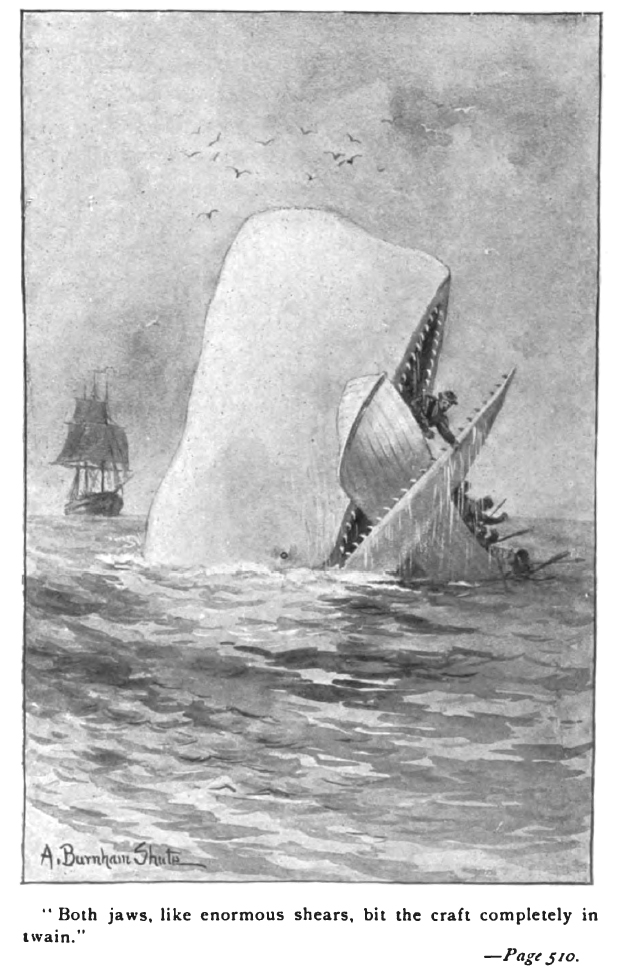 Moby Dick, som egentligen inte r en fisk. Frn Wikimedia Commons.