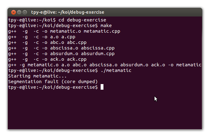 The program metamatic in the terminal